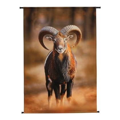 MOOS Calvin Wandkleed - 136 x 105 cm - Ram