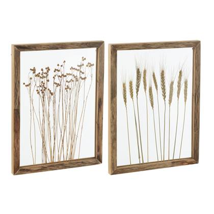 J-Line wanddecoratie Graan - dennenhout|glas - transparant|b