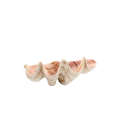 Light & Living - Ornament SHELL - 41x25x17cm - Bruin