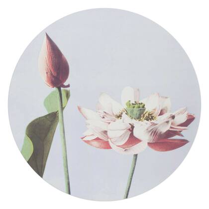 Reinders - Elegante Bloem - Glasschilderij Ø 70 cm - Roze