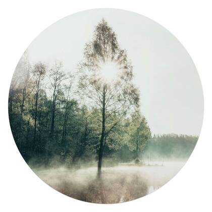 Reinders - Zon door de boom - Glasschilderij Ø 70 cm - Groen