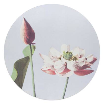 Reinders - Elegante Bloem - Glasschilderij Ø 50 cm - Roze