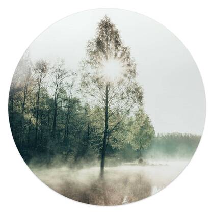 Reinders - Zon door de boom - Glasschilderij Ø 50 cm - Groen