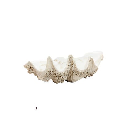 Light & Living - Ornament SHELL - 52x28x18cm - Bruin